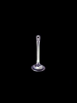 #21 Ladle ref00671